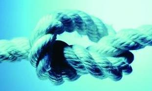 企業(yè)活動(dòng)